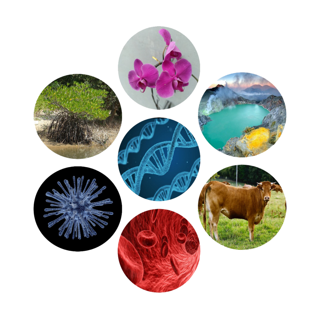 ICOLIB – International Conference on Life Sciences and Biotechnology